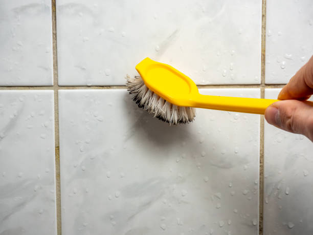 Best Mold Cleaning Services  in San Marcos, TX