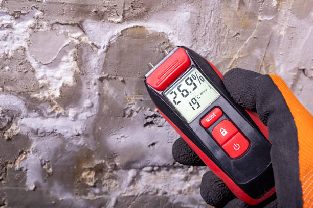 Best Office Mold Removal Services  in San Marcos, TX