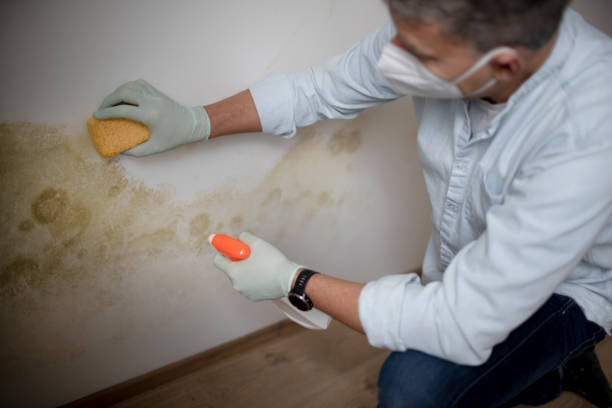 Best Crawl Space Mold Removal  in San Marcos, TX