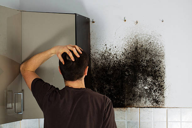 Best Mold Cleaning Services  in San Marcos, TX